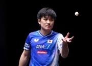 爱游戏体育官网-波兰队横扫韩国队，张本智和点燃赛场