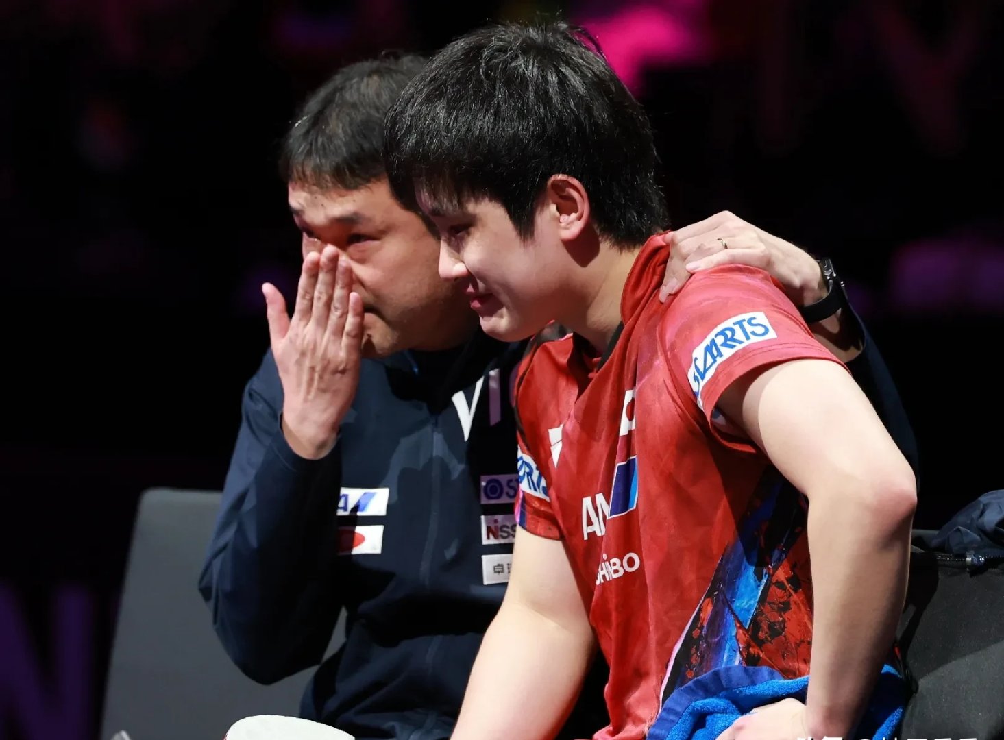 波兰队横扫瑞典队，张本智和状态火热