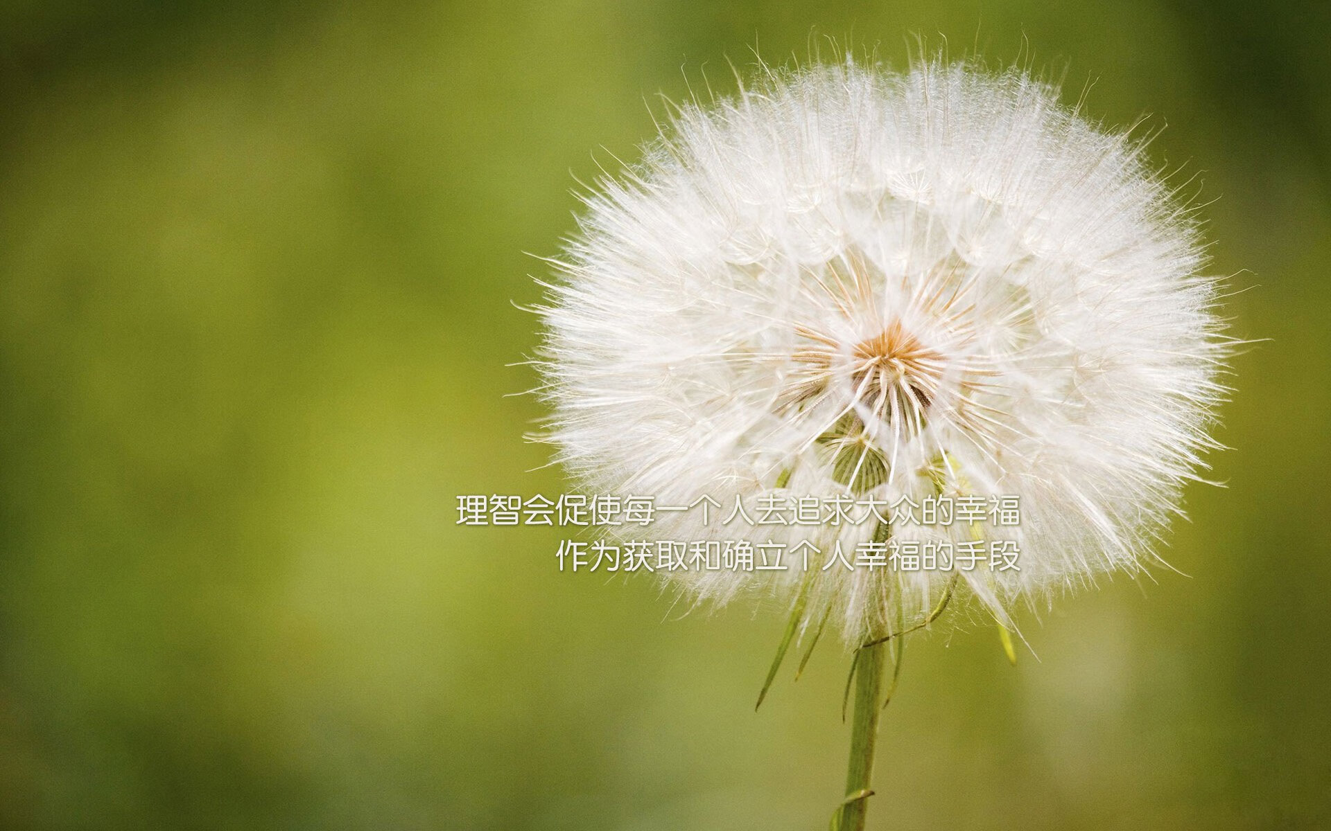 当大场面先生穆勒的目光投向基辅，美国对阵乌克兰，一场没有硝烟的代理人战争