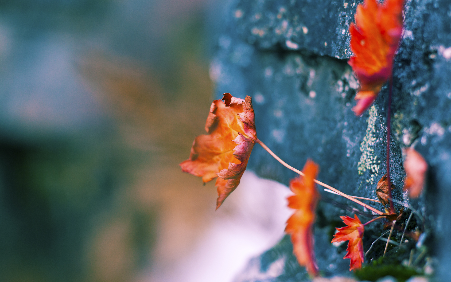 塞维利亚之夜，当奥纳纳的错误成为撕裂防线的完美风暴